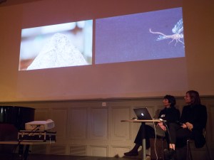 Baum_Jakob_Forschungsapéro 15