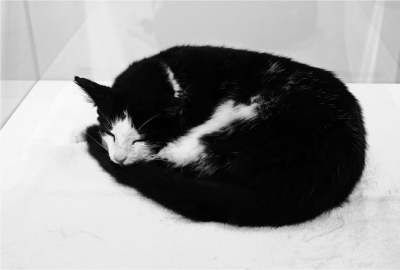 bildschirmfoto-2016-12-20-um-14-34-37-2