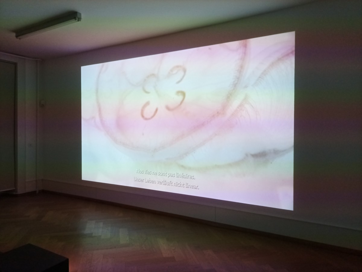 Rückblick: IPTK-Ausflug Kunsthaus Biel ‚Waterscape Imaginaries‘